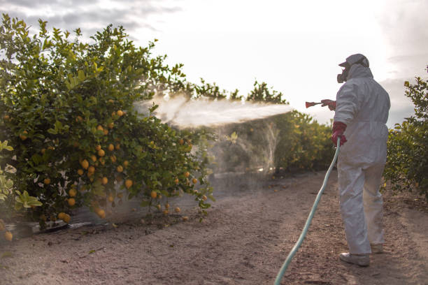 Wildlife Control Services in Trumann, AR
